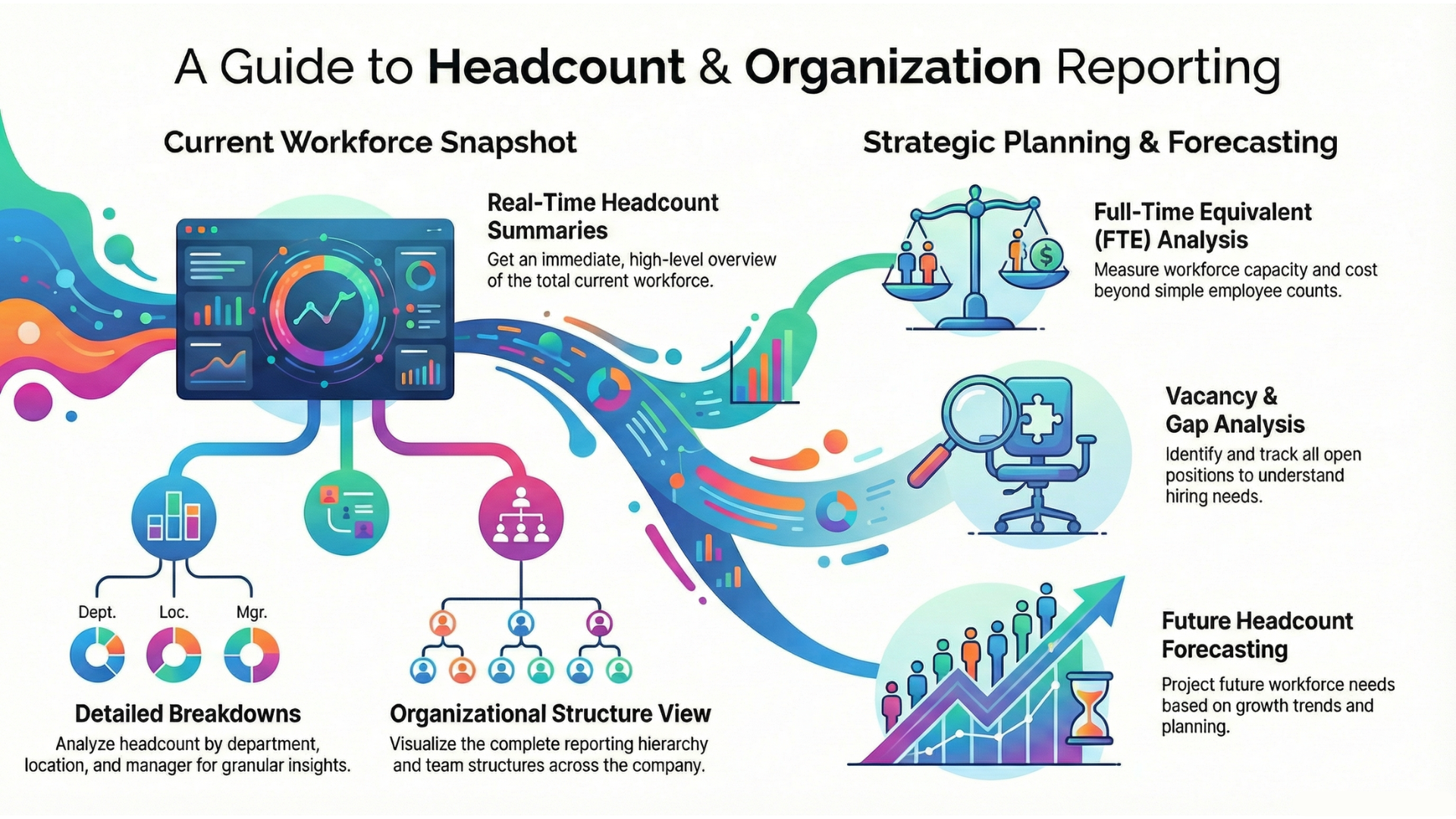 Headcount & Organization